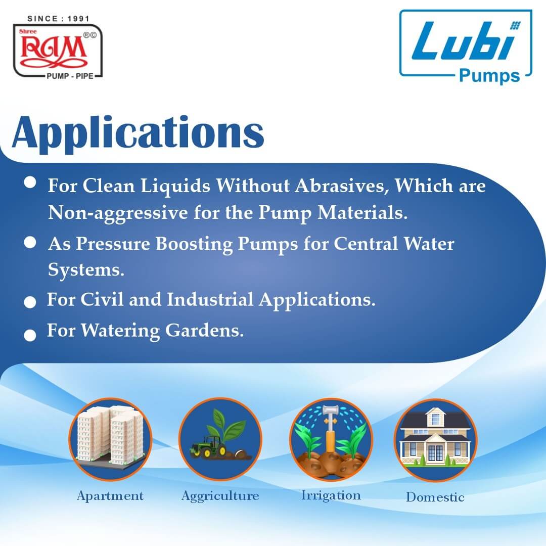 LUBI SS Shallow Well Jet Pump (F Class)